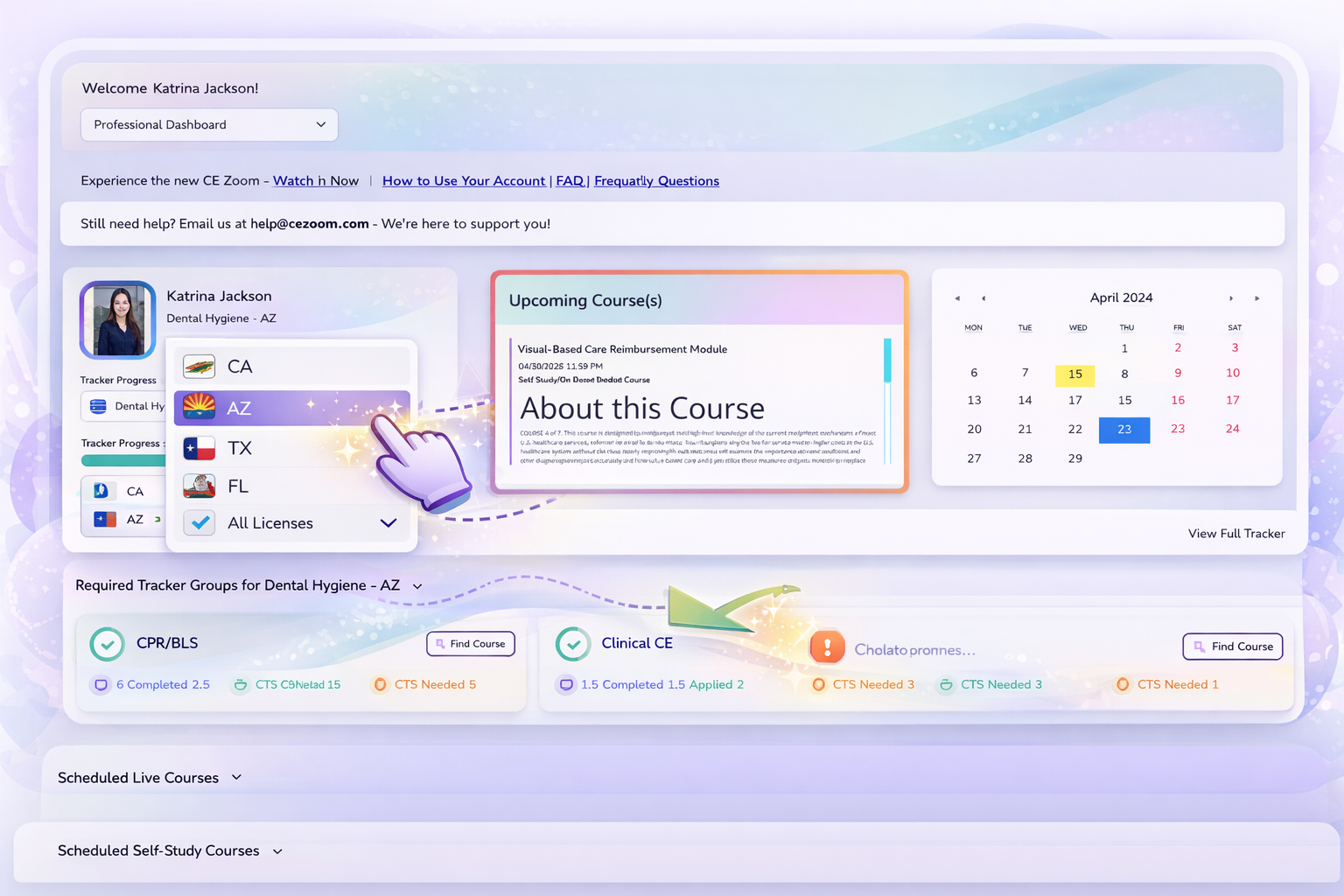 CE Zoom Professional Dashboard overview